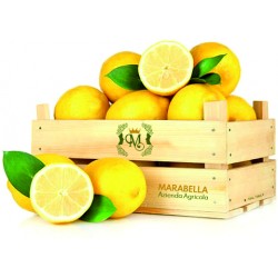 Limoni di Ribera 10kg